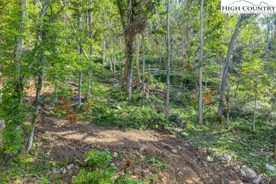 C1 Eagles Nest Trail, Banner Elk, NC 28604 - Photo 12