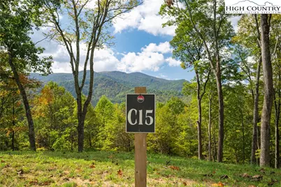 Lot C15 Autumnwood Trace, Elk Park, NC 28622 - Photo 2