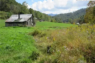 1411 Cabbage Creek Rd, Creston, NC 28615 - Photo 6