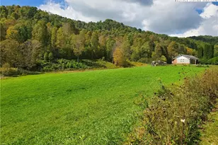 1411 Cabbage Creek Rd, Creston, NC 28615 - Photo 40