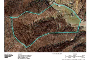 1411 Cabbage Creek Rd, Creston, NC 28615 - Photo 4