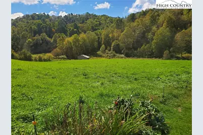 1411 Cabbage Creek Road, Creston, NC 28615 - Photo 28