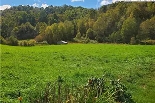 1411 Cabbage Creek Rd, Creston, NC 28615 - Photo 28