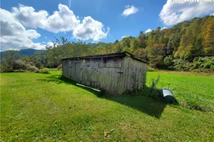 1411 Cabbage Creek Rd, Creston, NC 28615 - Photo 24