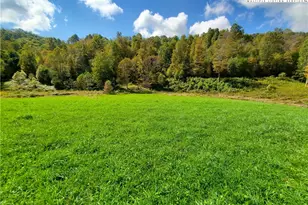 1411 Cabbage Creek Rd, Creston, NC 28615 - Photo 30