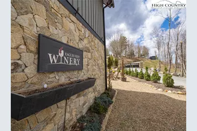Vv13 Vineyard Trail, Banner Elk, NC 28622 - Photo 12