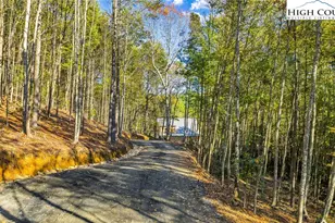 250 Noahs Ridge, Fleetwood, NC 28626 - Photo 46