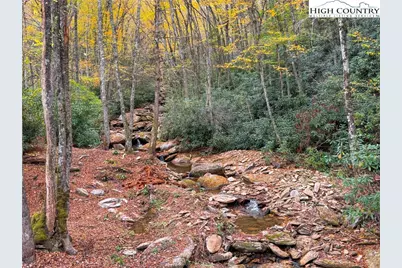 Lot 85 Wren Way, Banner Elk, NC 34990 - Photo 4