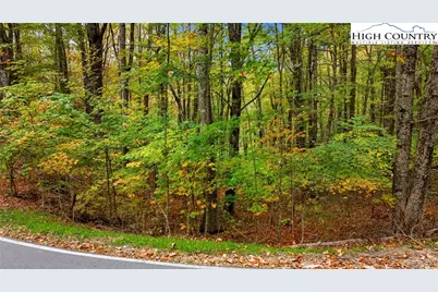 Lot 85 Wren Way, Banner Elk, NC 34990 - Photo 8