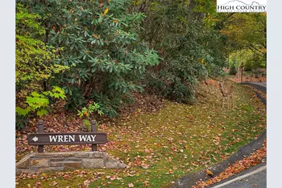 Lot 85 Wren Way, Banner Elk, NC 34990 - Photo 2