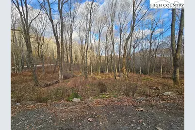 Lot 29 Lee Gualtney Road, Banner Elk, NC 28604 - Photo 10