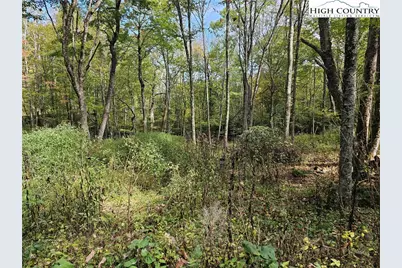 Lot 29 Lee Gualtney Road, Banner Elk, NC 28604 - Photo 4
