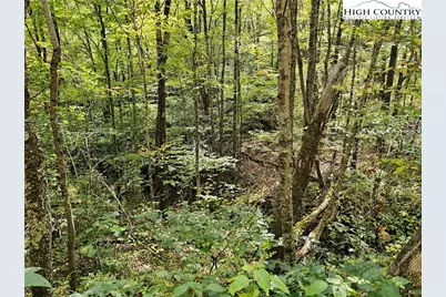 Lot 29 Lee Gualtney Road, Banner Elk, NC 28604 - Photo 8