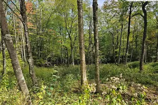 Lot 29 Lee Gualtney Rd, Banner Elk, NC 28604 - Photo 1