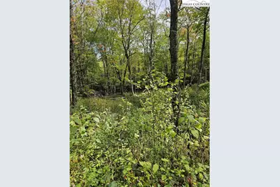 Lot 29 Lee Gualtney Road, Banner Elk, NC 28604 - Photo 6