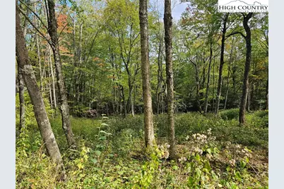 Lot 29 Lee Gualtney Road, Banner Elk, NC 28604 - Photo 2