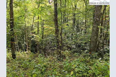 Lot 29 Lee Gualtney Road, Banner Elk, NC 28604 - Photo 6