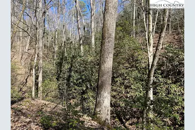 2500 Playmore Beach Road, Lenoir, NC 28645 - Photo 48