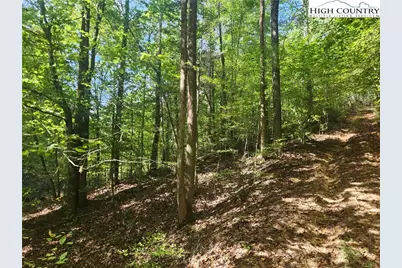 2500 Playmore Beach Road, Lenoir, NC 28645 - Photo 34