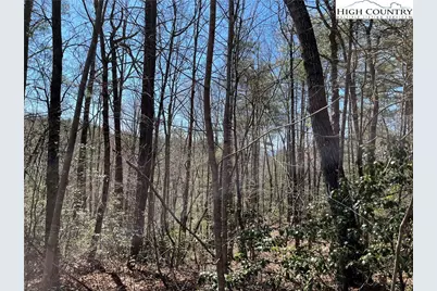 2500 Playmore Beach Road, Lenoir, NC 28645 - Photo 46