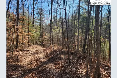 2500 Playmore Beach Road, Lenoir, NC 28645 - Photo 22