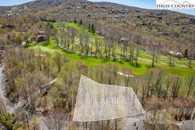 201 Grassy Gap Loop Road, Beech Mountain, NC 28604 - Photo 4