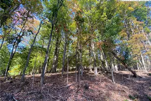 Tbd Maple Ridge Dr, Boone, NC 28607 - Photo 1