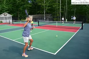 115 N Pinnacle Ridge Rd, Beech Mountain, NC 28604 - Photo 28