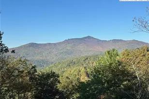 206 Spruce Pine Trail, Blowing Rock, NC 28605 - Photo 8