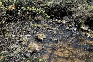 1046 J E Gentry Rd, Crumpler, NC 28617 - Photo 50