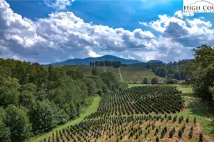 1046 J E Gentry Rd, Crumpler, NC 28617 - Photo 48