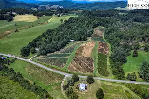 1046 J E Gentry Rd, Crumpler, NC 28617 - Photo 46