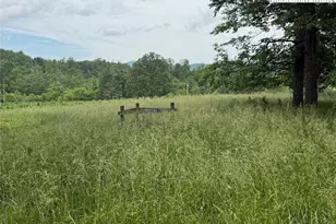 1046 J E Gentry Rd, Crumpler, NC 28617 - Photo 42