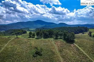 1046 J E Gentry Rd, Crumpler, NC 28617 - Photo 36