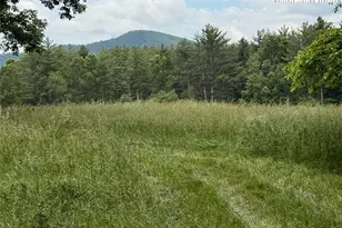 1046 J E Gentry Rd, Crumpler, NC 28617 - Photo 40