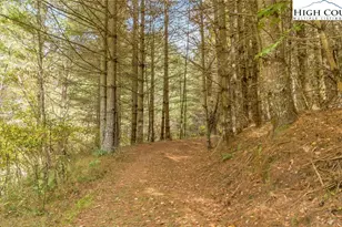 886 Blevins Hollow Rd, Piney Creek, NC 28663 - Photo 16