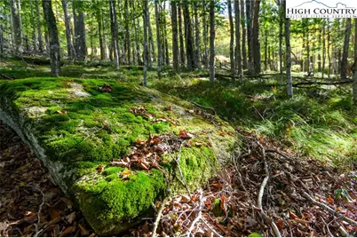 123 Briarwood Lane, Beech Mountain, NC 28604 - Photo 16