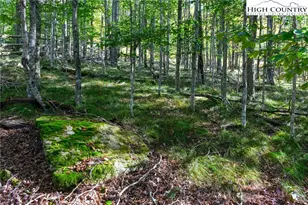 123 Briarwood Ln, Beech Mountain, NC 28604 - Photo 1