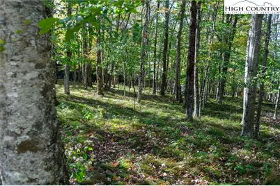 123 Briarwood Lane, Beech Mountain, NC 28604 - Photo 12