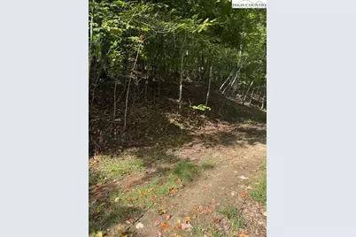 166 Wild Iris, Beech Mountain, NC 28604 - Photo 2