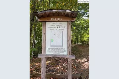 166 Wild Iris, Beech Mountain, NC 28604 - Photo 4