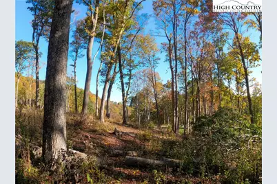 Lot 18 Rock Haven Trail, Banner Elk, NC 28604 - Photo 4