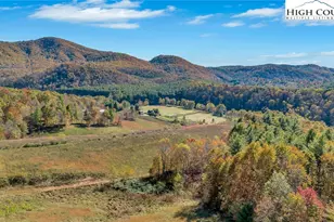 372 & 393 Bingham Ln, Laurel Springs, NC 28644 - Photo 24