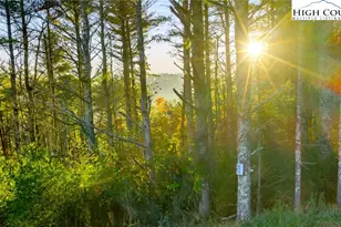 Tbd - 19 Davis Acres Dr, West Jefferson, NC 28694 - Photo 1