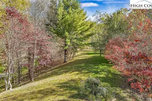 170 Lenape Ln, Creston, NC 28615 - Photo 4