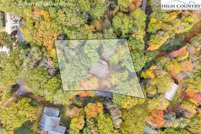 180 Wild Blackberry Hill Road, Boone, NC 28607 - Photo 18