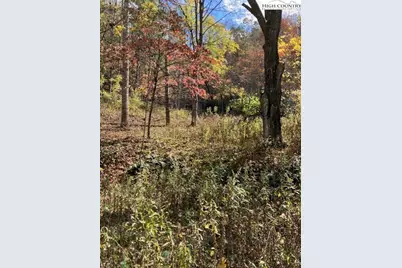 Tbd Nc Hwy 194 S, Vilas, NC 28692 - Photo 1