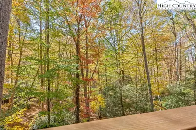359 Sorrento Falls Road, Blowing Rock, NC 28605 - Photo 44