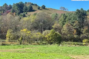 790 Howard Edmisten Rd, Sugar Grove, NC 28679 - Photo 26