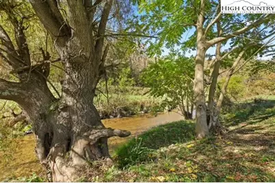 790 Howard Edmisten Road, Sugar Grove, NC 28679 - Photo 36